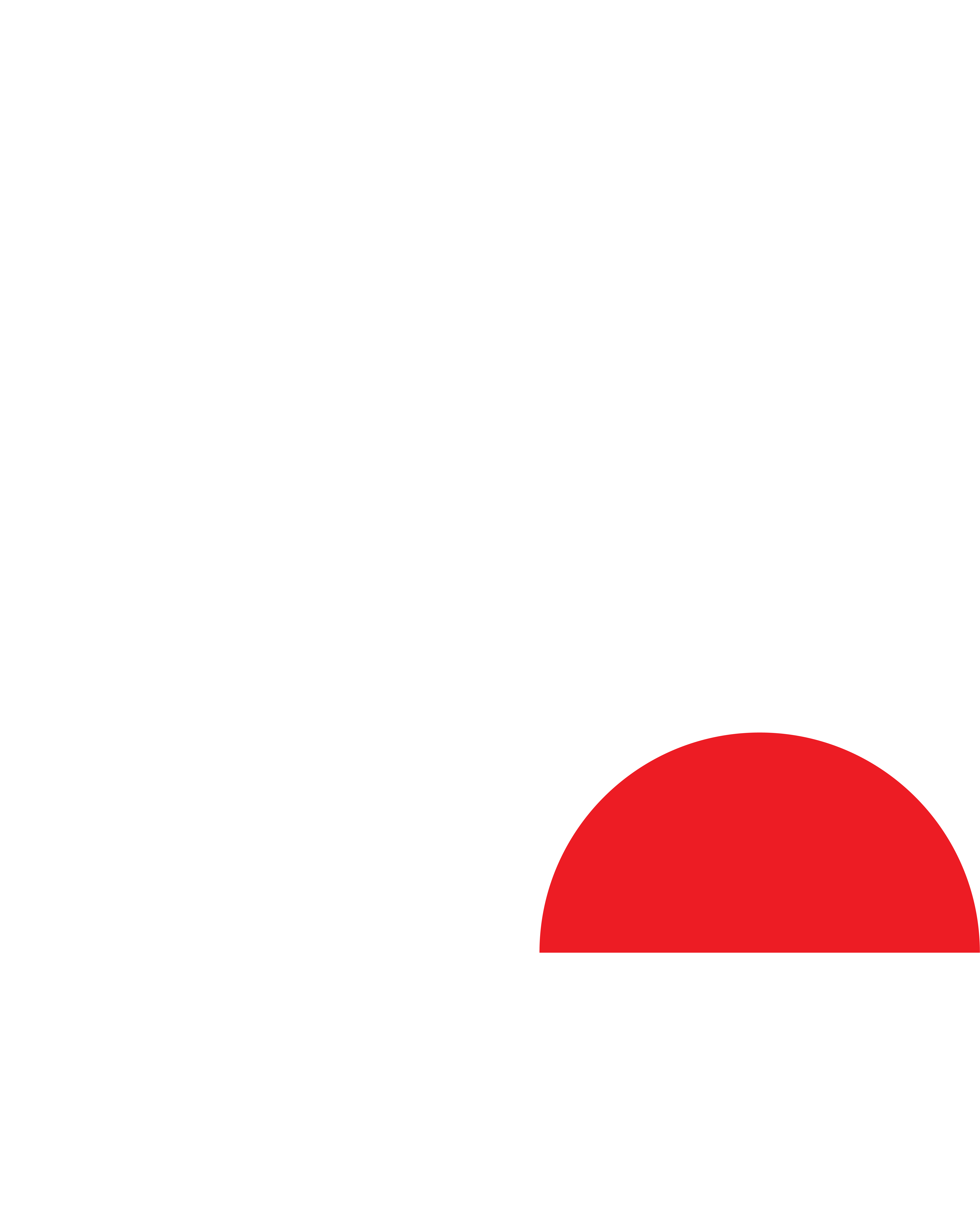 Sui Logo