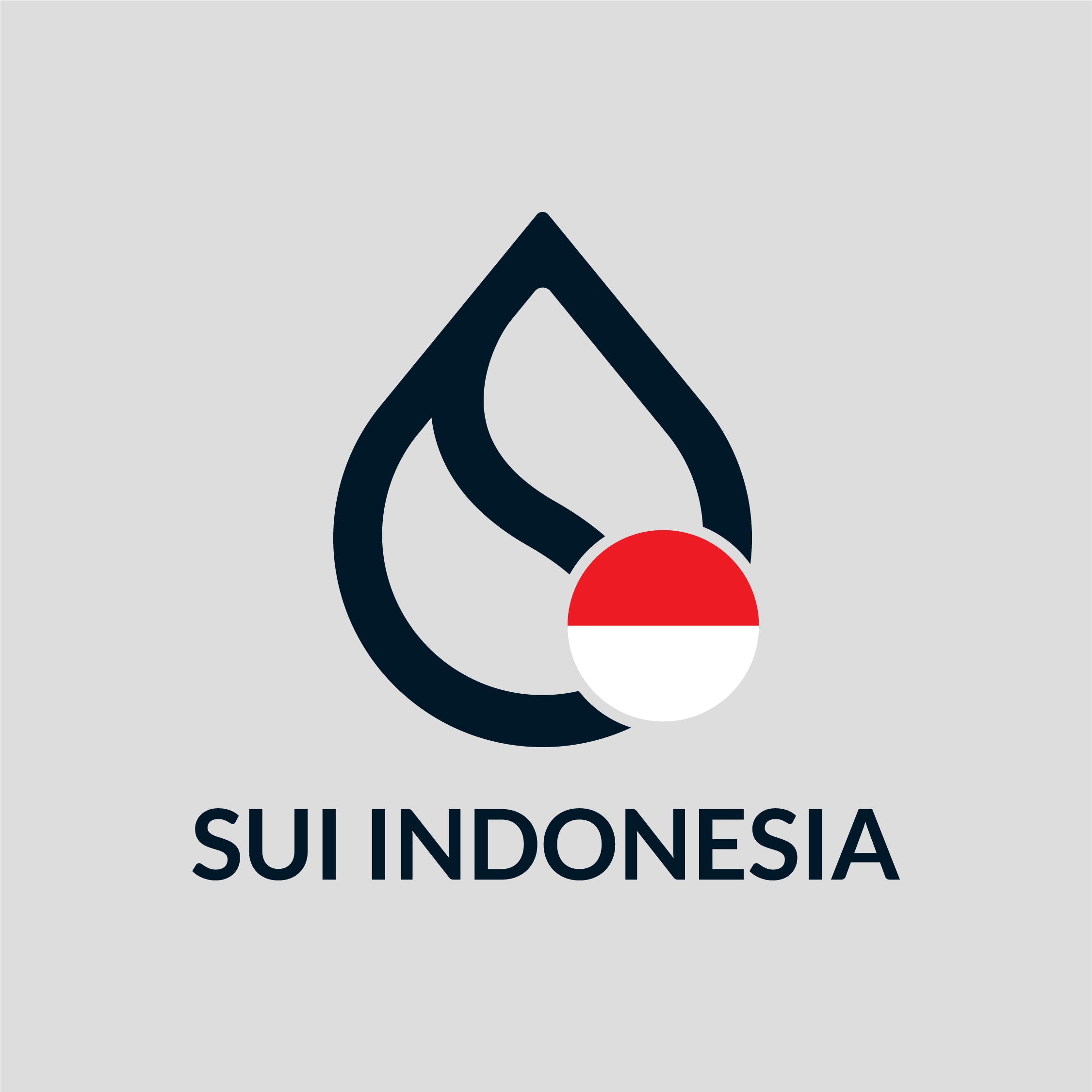 Sui Logo