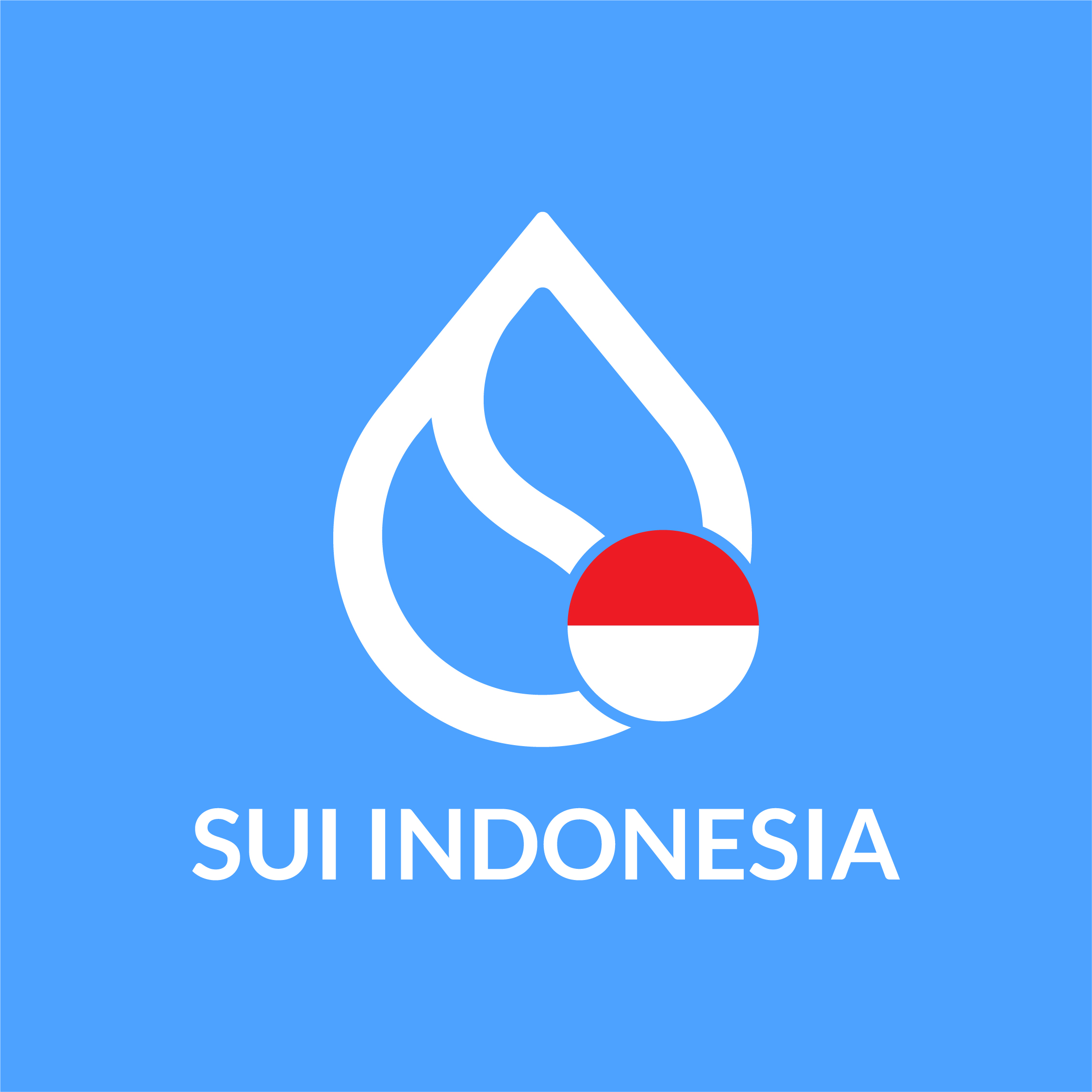 Sui Logo